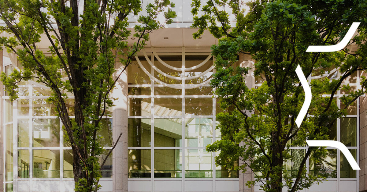 Mannheim Jewish Community Cancels Fest Over Protest Fears